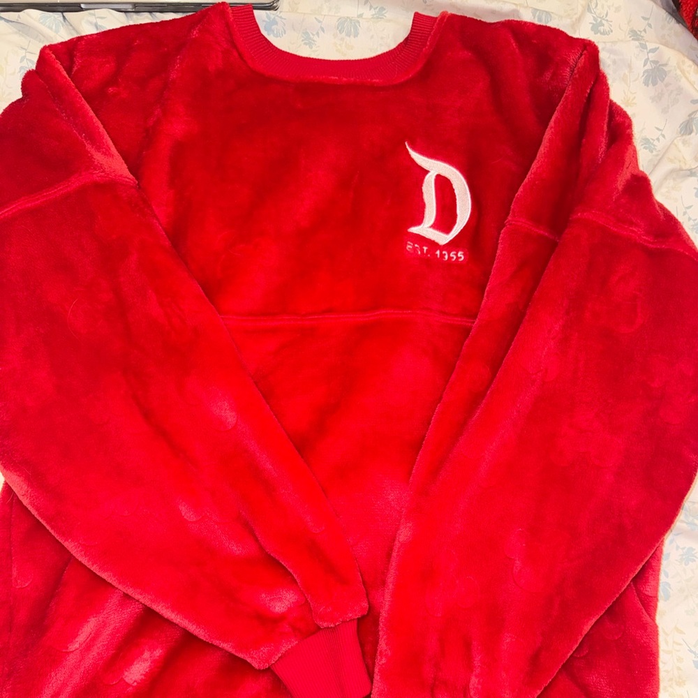 Disneyland Spirit Jersey
